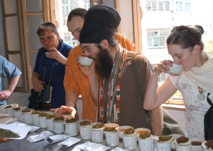 Tasting Darjeeling 2006