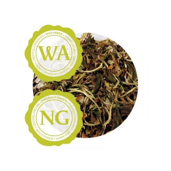 DHARA WHITE TEA