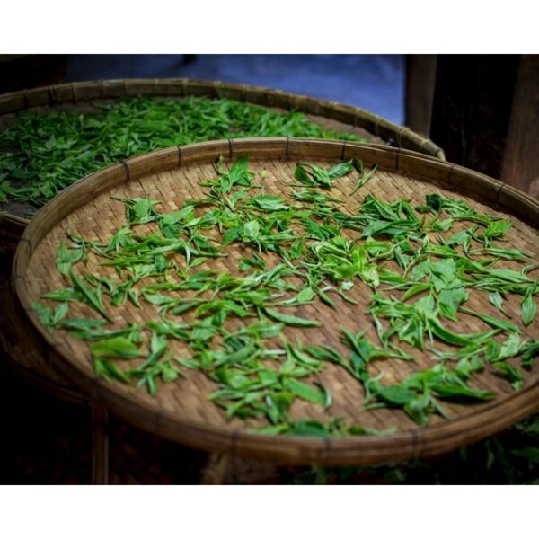DHARA WHITE TEA 2018